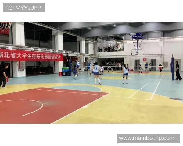 武汉排球队个人能力提升的热议与未来发展探讨