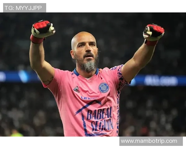 法甲九号足球明星的辉煌历程与未来展望解析