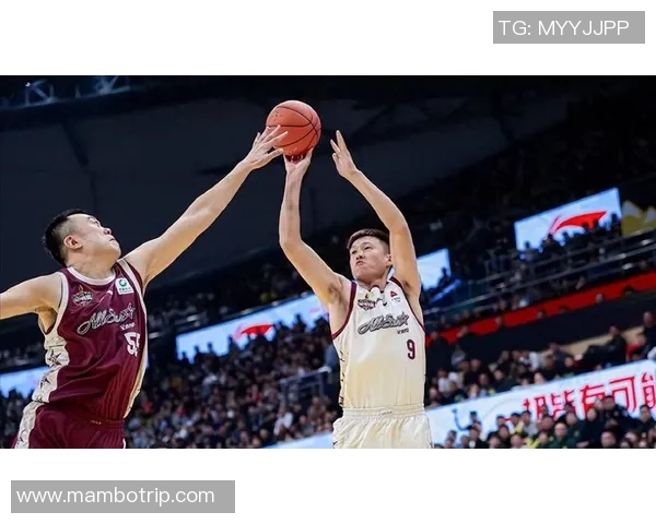 篮球状态排行榜：深圳篮球队位居第9名