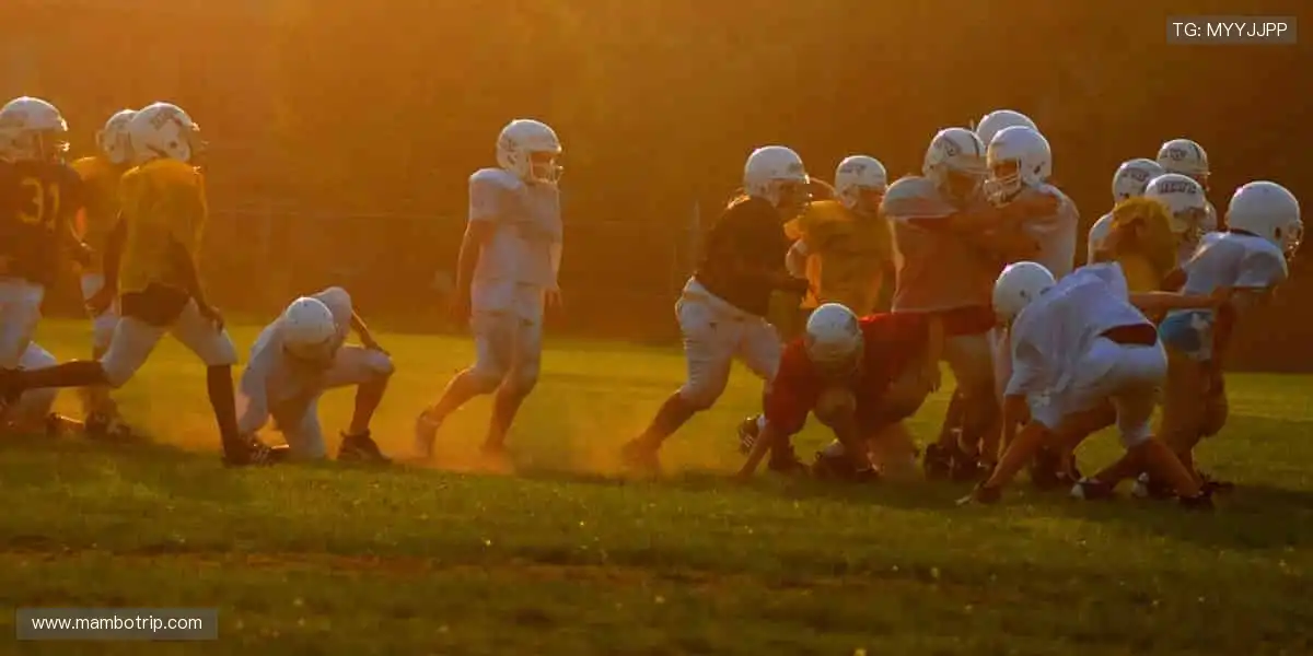 📺全球赛事，超清直播，不错过每一个精彩瞬间！